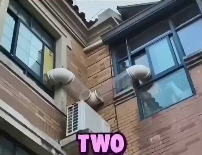 Estos dos gatos eran mejores amigos, por lo que sus dueños hicieron un túnel entre sus apartamentos para que pudieran visitarse.