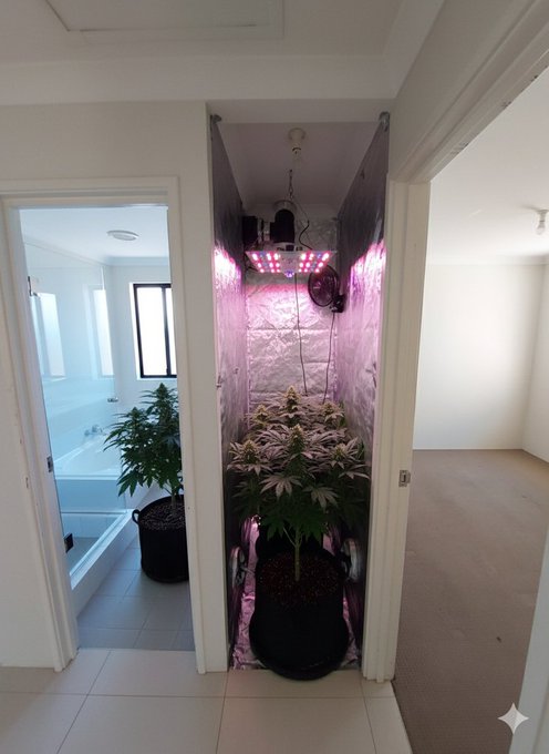 ¿Qué hago con este espacio?