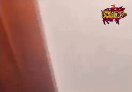 "Lo he pasado muy bien"