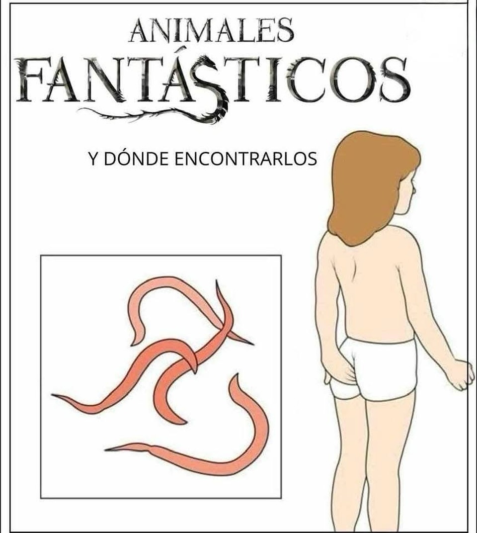 Lavarte las manos te priva de maravillosas experiencias.