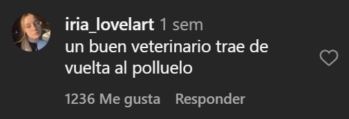 Así luce la mejor tortilla de España.