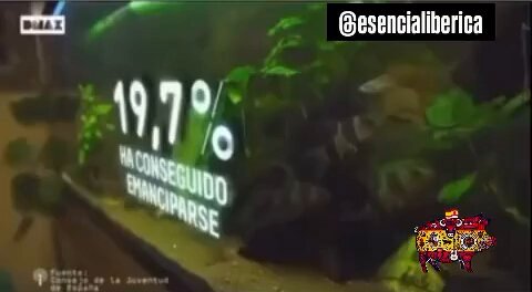 "Tiene 30 años y no aporta nada".