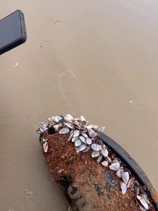 Encontraron un altavoz JBL que llevaba meses flotando en el mar a la deriva y para su sorpresa... aún funcionaba.