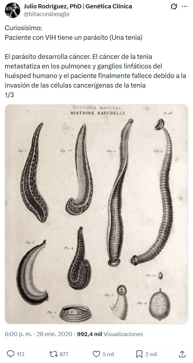 Primer caso documentado de un cáncer animal que se contagia a un humano.