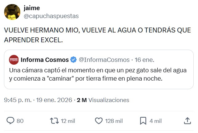 Una cámara capta el momento en que un pez gato sale del agua y comienza a "caminar" por tierra firme en plena noche.