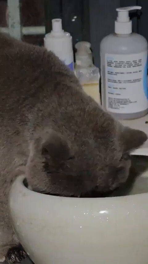 Mauricio bebe agua... diferente.