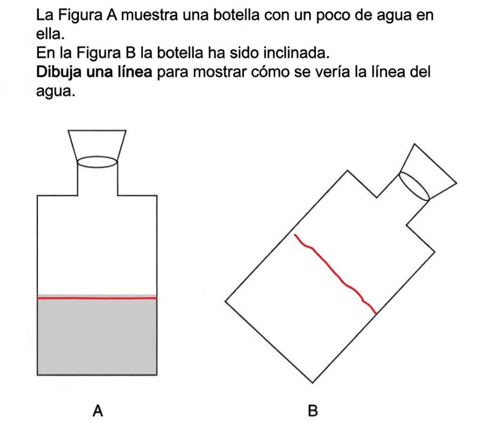 El sencillo test que muestra grandes diferencias entre hombres y mujeres. Muchas de ellas fallan, cuando para los hombres la respuesta es evidente.