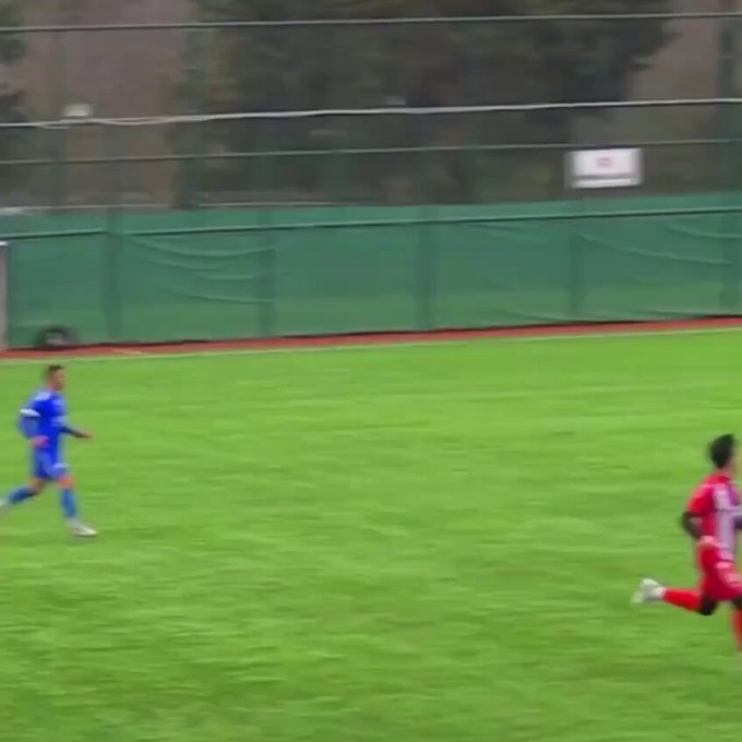 En un partido de una liga amateur turca, un portero ha golpeado a una gaviota sacando de portería. Pero lo sorprendente es que un jugador le ha hecho la reanimación para salvarla.