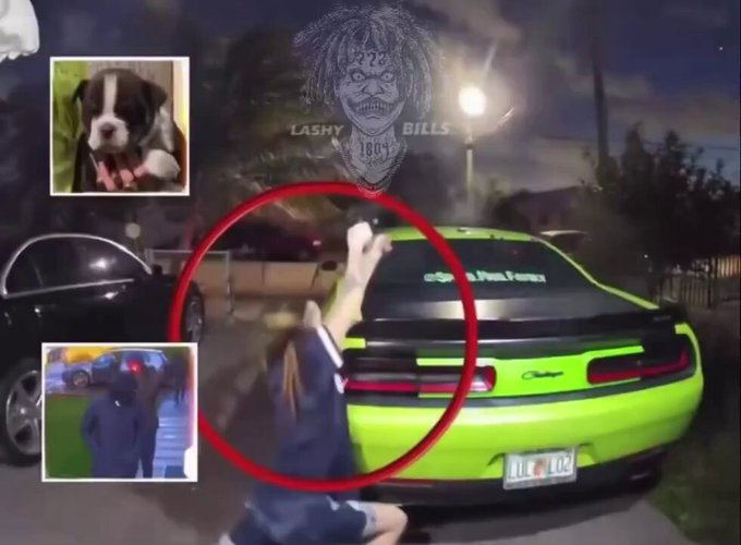 Una mujer en Florida que vendía cachorros caros terminó intercambiando disparos con un grupo de hombres que intentaban robarle varios perros valorados en 4.000 dólares.