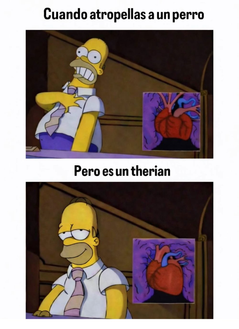 Buenos días.