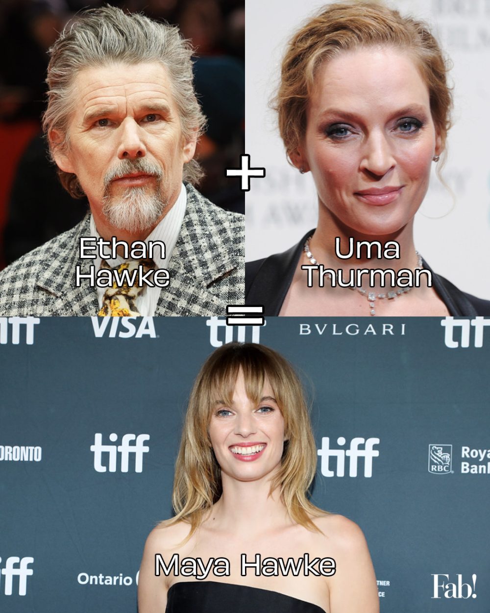 Curiosas mezclas de ADN entre famosos.