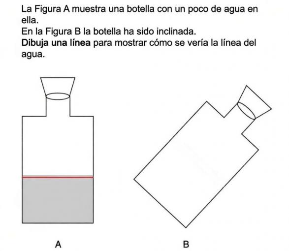 El sencillo test que muestra grandes diferencias entre hombres y mujeres. Muchas de ellas fallan, cuando para los hombres la respuesta es evidente.