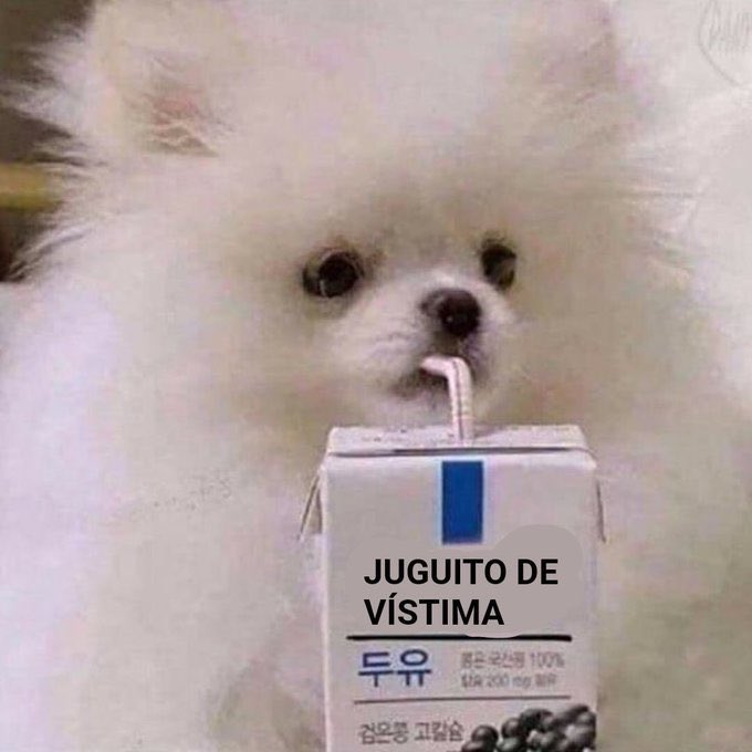 Sarah Santaolalla, en el I Foro contra el Odio: “Hay que seguir, aunque a veces tengas que abandonar espacios donde están tus acosadores”