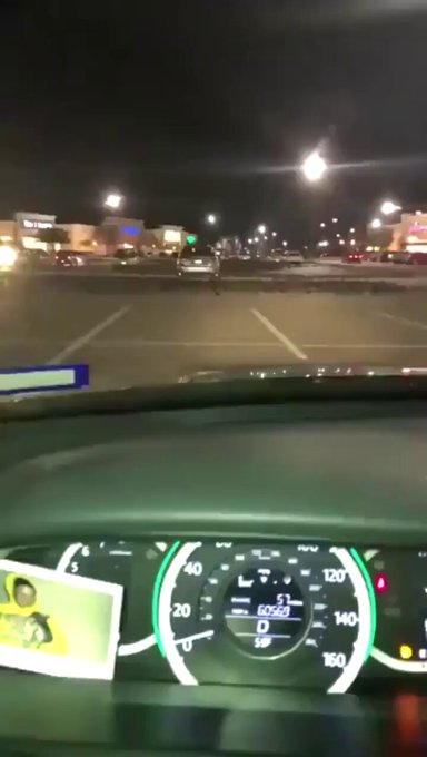 KARMA INSTANTÁNEO: Un notas intenta atropeIIar a un montón de pájaros y se merienda tremendo bordillo.