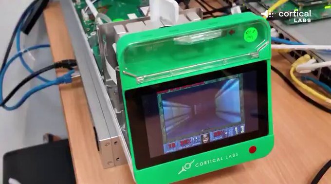 200.000 neuronas humanas cultivadas en laboratorio jugando al Doom de 1993.