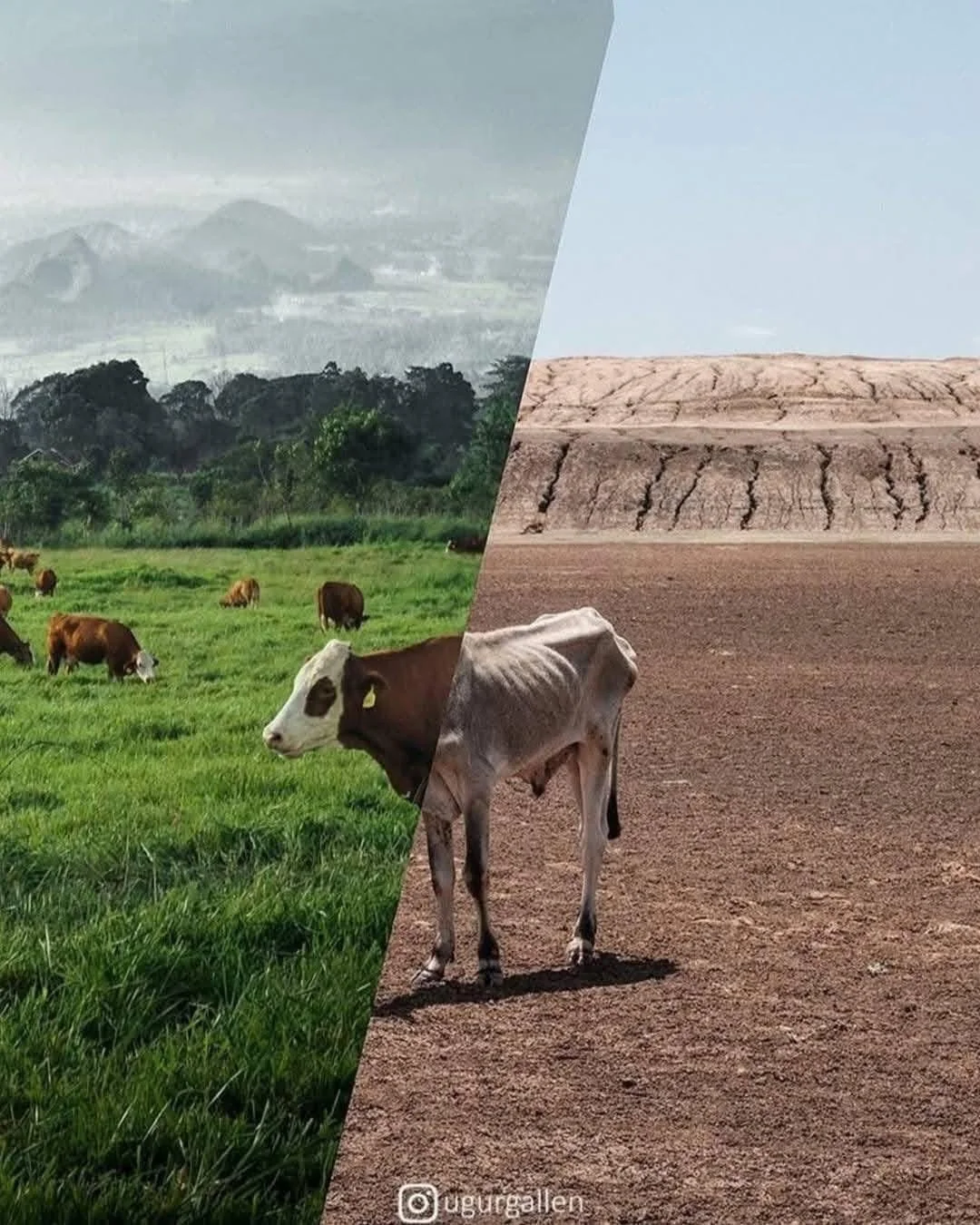 El artista turco Uğur Gallenkuş es famoso por crear collages que parten el mundo en dos: de un lado la vida cómoda, del otro la guerra, el desplazamiento y la supervivencia.