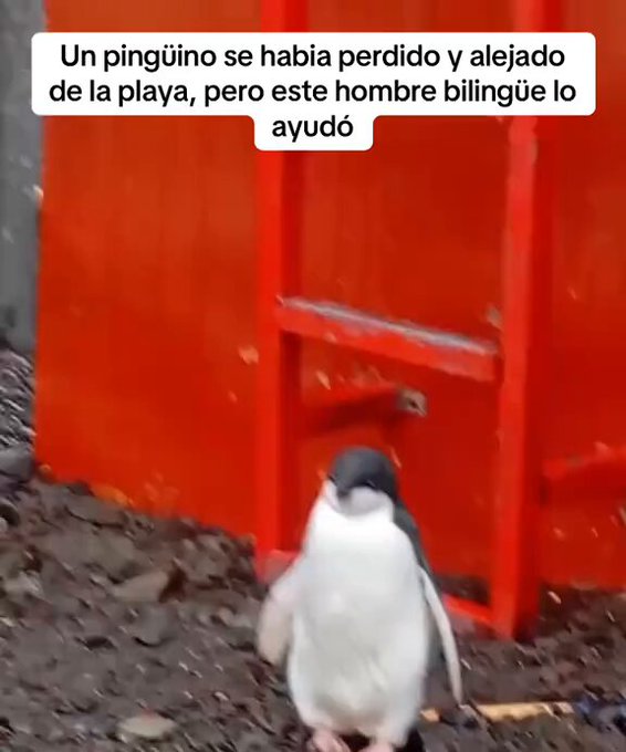 Otro idioma más para poner en el currículum.