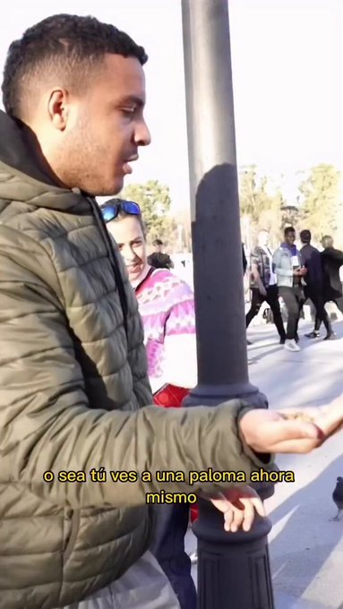 El encantador de pájaros (y pájaras).