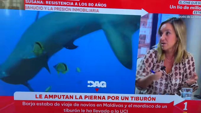 Ramón Espinar, tertuliano, politólogo y ex senador de Podemos, en Directo al Grano de TVE: "A las MALDIVAS solo hay que ir para ayudar a recuperarlas a nuestros hermanos argentinos".