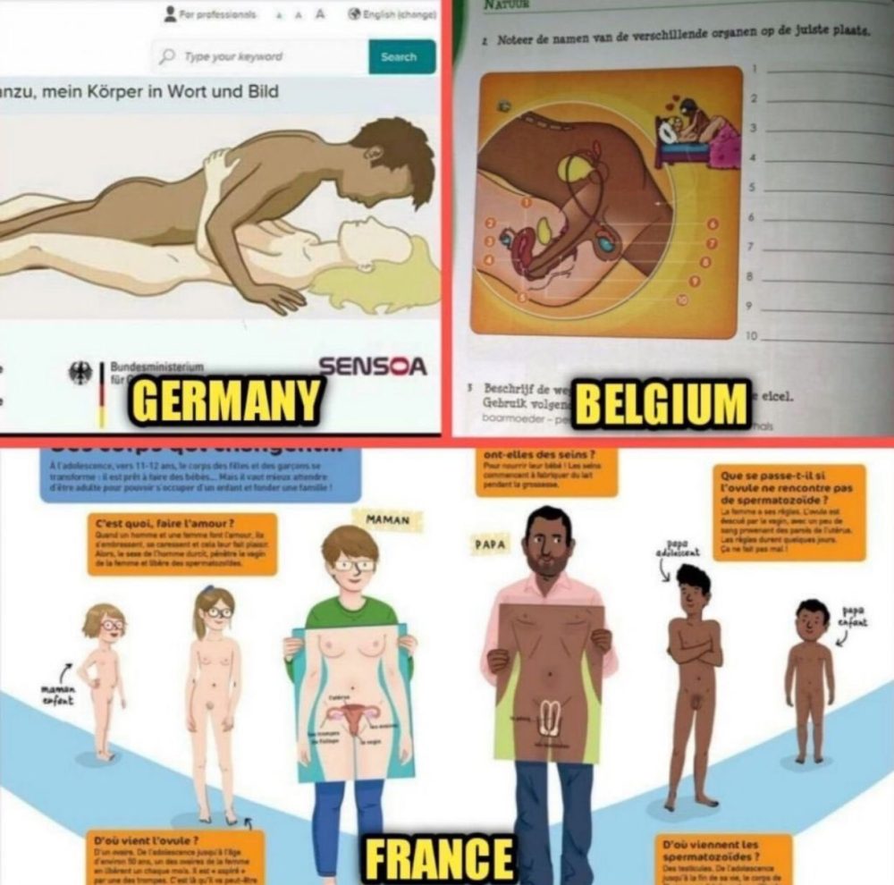 Veo cierto patrón en estas ilustraciones sobre educación sеxual en Alemania, Bélgica y Francia...