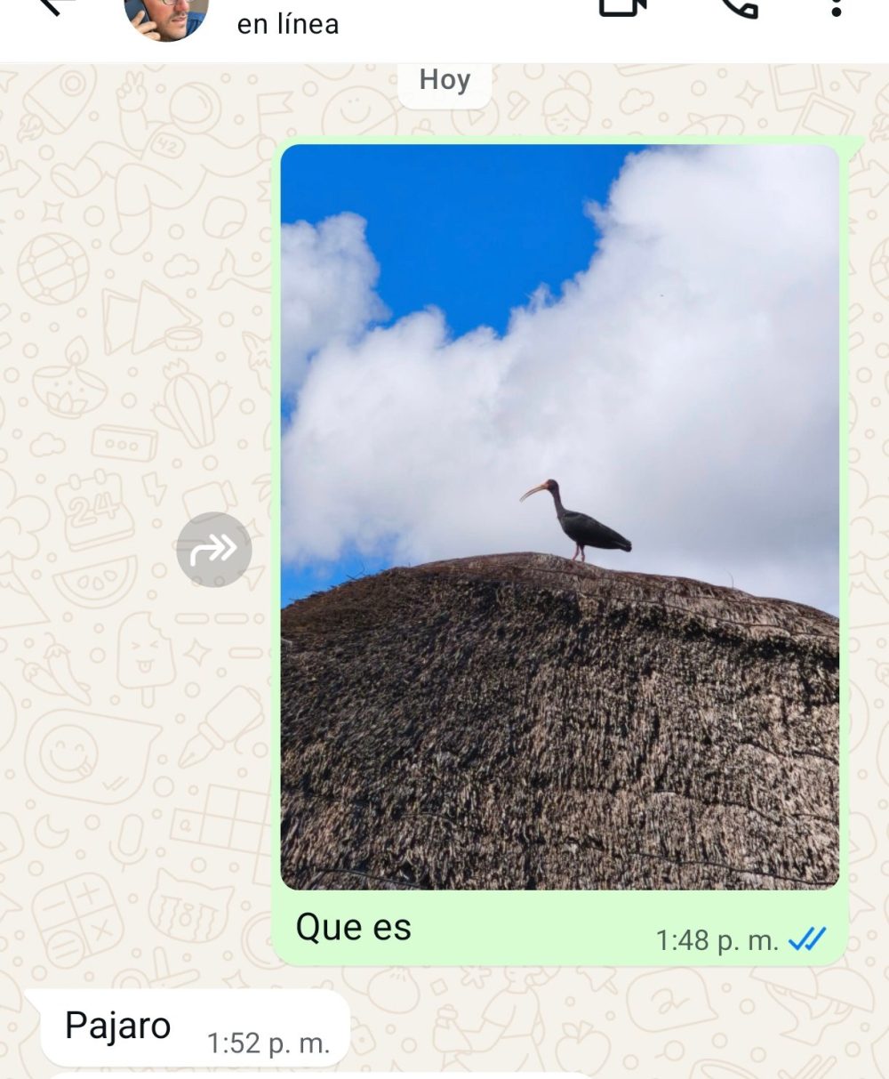Da gusto tener amigos biólogos.
