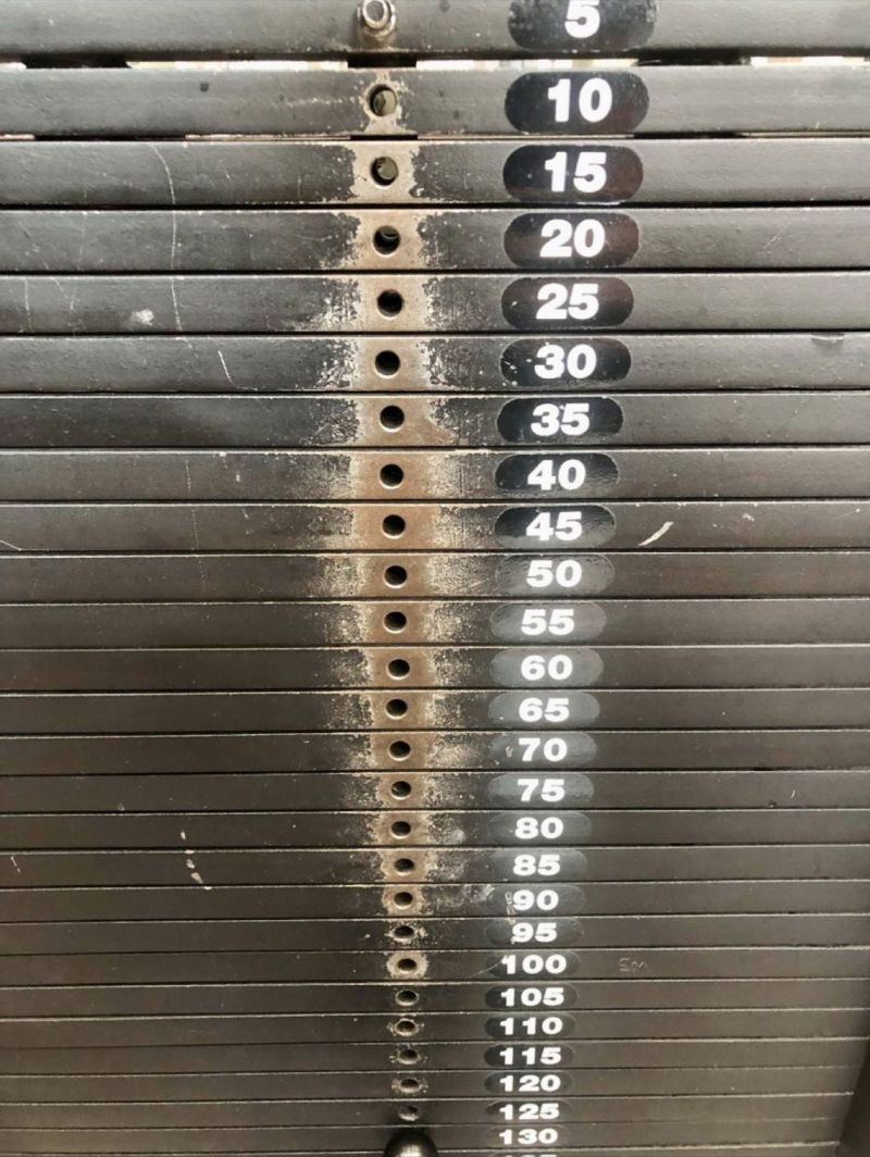 La campana de Gauss se enfrenta a la realidad del gimnasio.