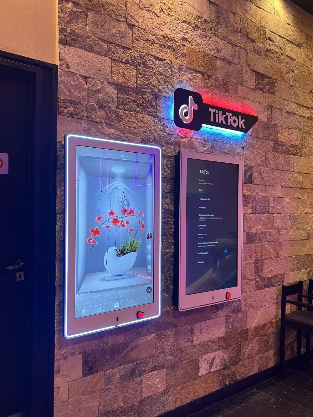 "Fuimos a cenar y en la pared del restaurante tenían pantallas enormes para que los nenes vean tiktok".