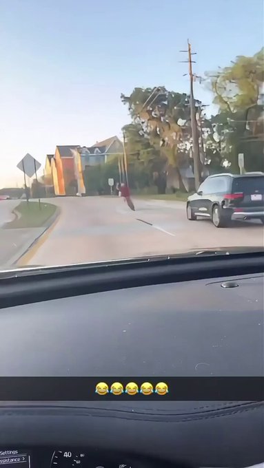 El vídeo satisfactorio del día.