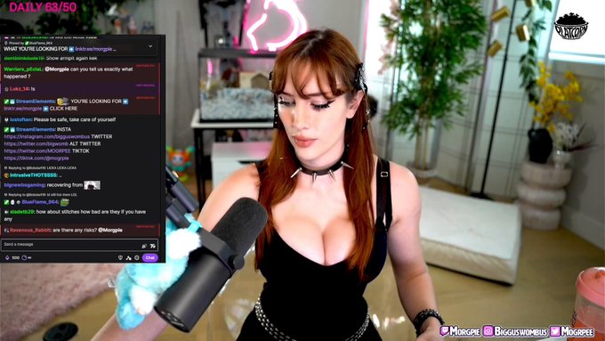 La streamer "Morgpie" muestra a su nueva mascota en un directo.