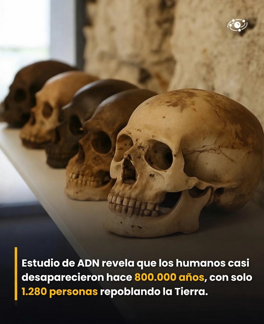 Un estudio de ADN revela que los humanos estuvieron a punto de desaparecer hace 800.000 años.