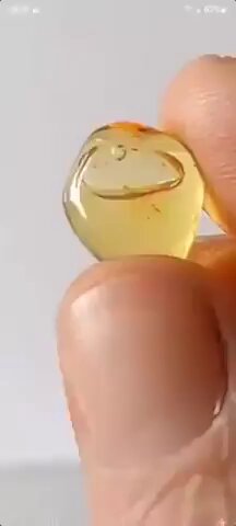 Esta burbuja de aire lleva 20 millones de años atrapada en ámbar.