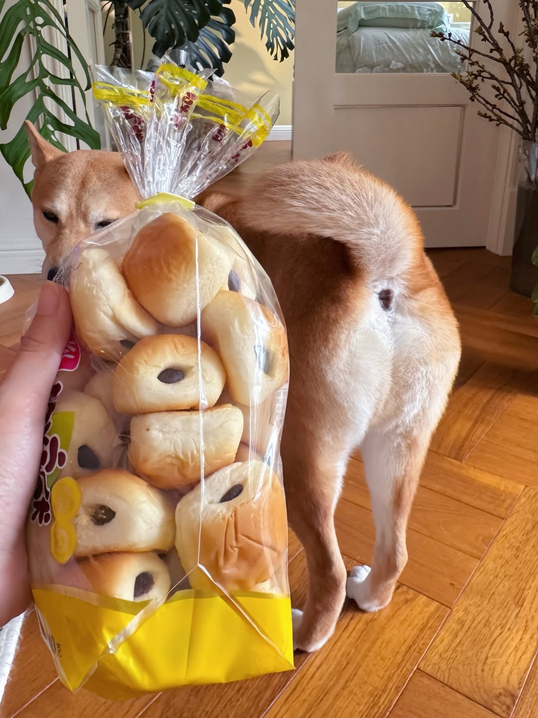 ¿Hay hambre?