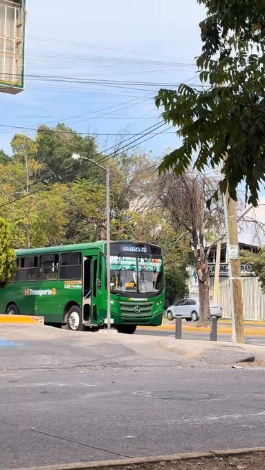 Autobús gordófobo.