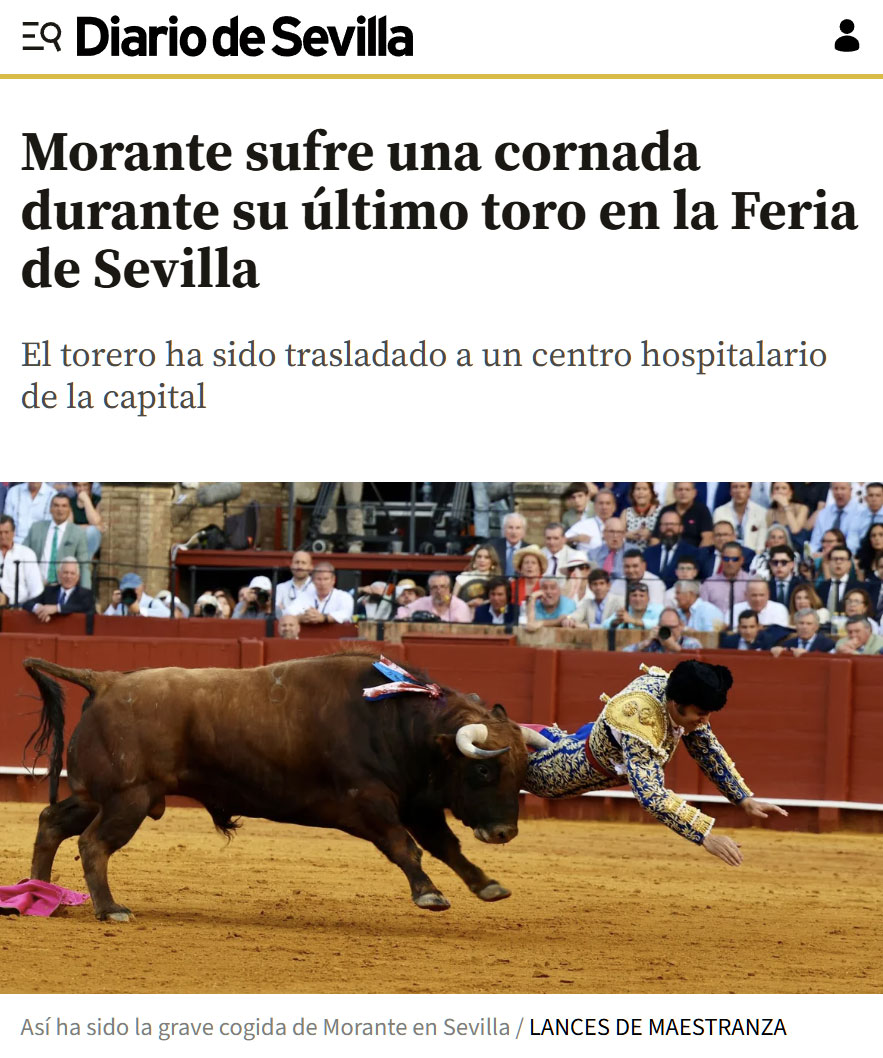 Morante de la Puebla, herido "muy grave" en Sevilla: sufre una cornada de 10 centímetros que le perfora el rеcto