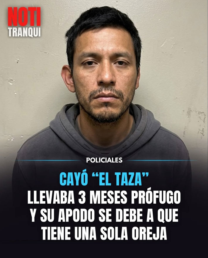 Ha caído el taza.
