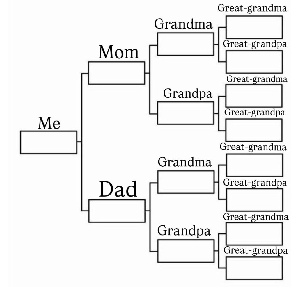 Hay un nuevo trend en redes sociales: mostrar tu árbol genealógico de nacionalidades.