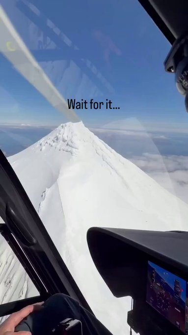 Avistan a un enorme oso pardo en las cumbres de gran altitud de Alaska.