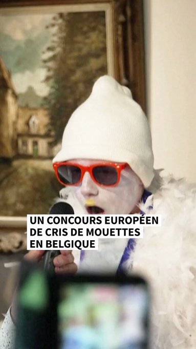 En la ciudad belga de La Panne, un bar acoge uno de los concursos más insólitos de Europa: la 6ª edición del concurso europeo de gritos de gaviotas, con participantes llegados de 16 países.
