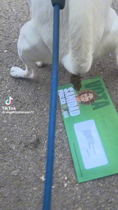 Paquito está votando.