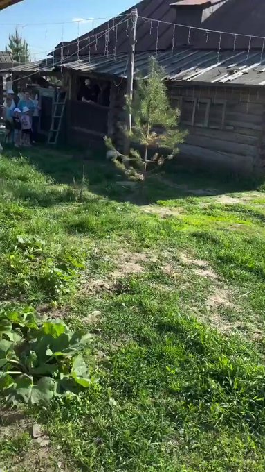 Un pollo ayuda a unas mujeres que intentan separar a dos gatos enzarzados en una pelea.