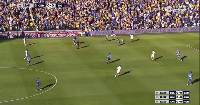 Un perro se cuela en el campo durante un partido en Argentina.