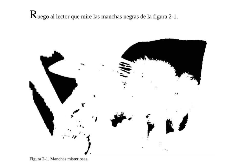 Si miras esta imagen no ves nada más allá de manchas. No obstante, mira la imagen que hay tras el salto y de golpe tiene sentido y ya no puedes ver otra cosa.