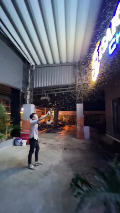 El encantador de mosquitos.