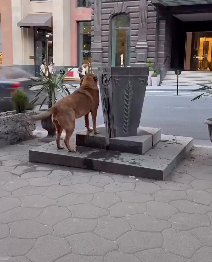 Un gramo de bondad vale más que una tonelada de buenas intenciones.