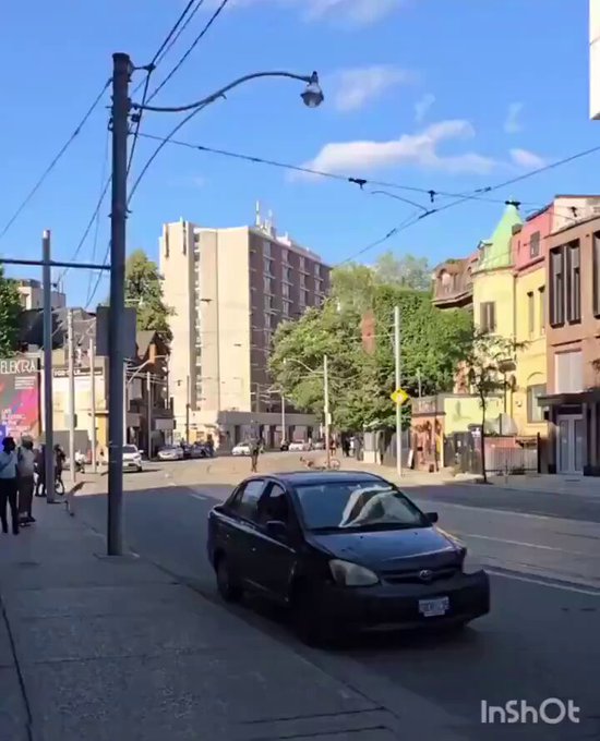Un tipo llega en un patinete para defender a un ladrón de bicicletas que está siendo ajusticiado por su víctima, y el ladrón decide agradecérselo... robándole el patinete.