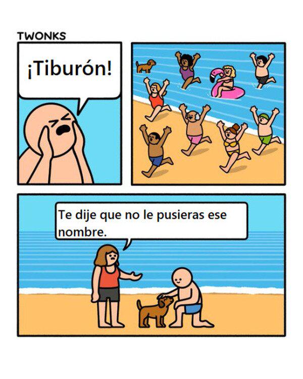 Nombre... mejorable.