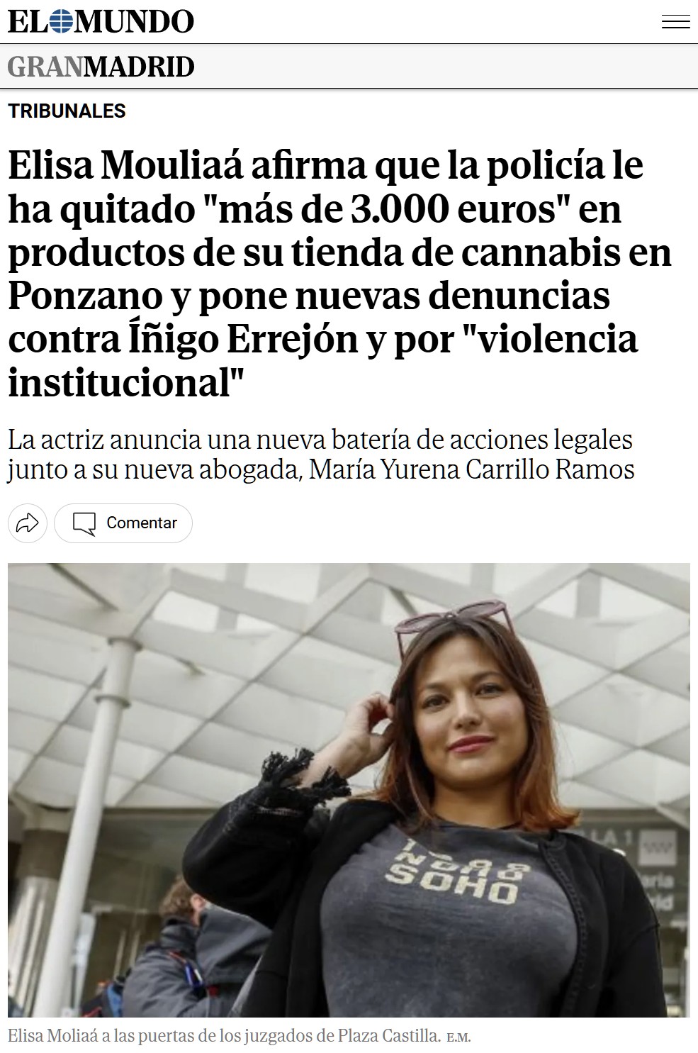 Siempre pensé que ser idiota no debería ser delito... hasta que conocí a Elisa Mouliaá.