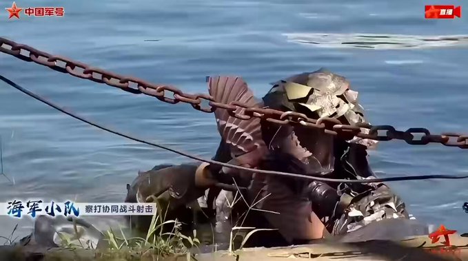 El ejército chino ahora tiene drones disfrazados de pájaros.