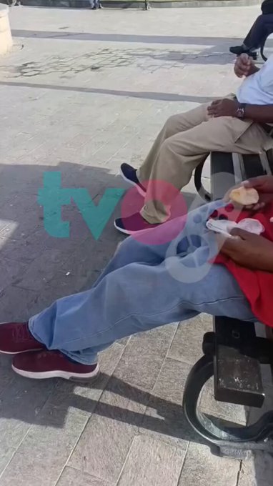 Pillan a un peruano guardándose palomas en los bolsillos.