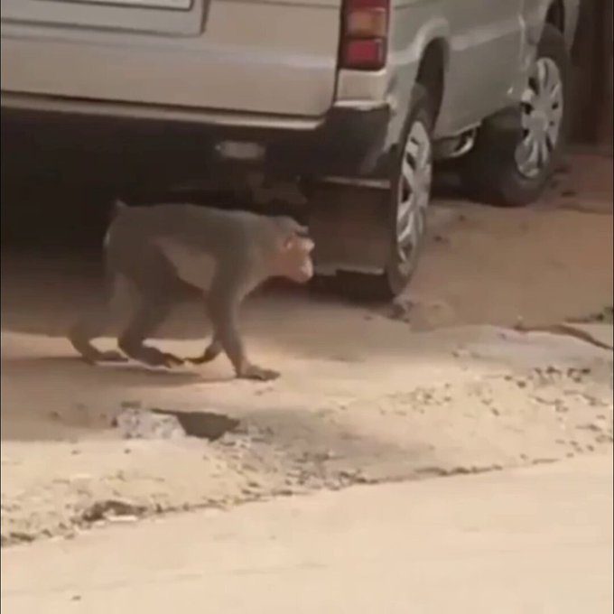 Más vale prevenir que lamentar.